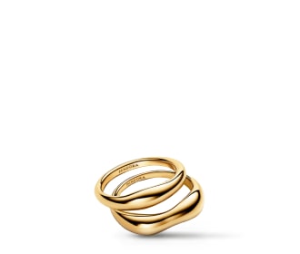 par de anillos dorados