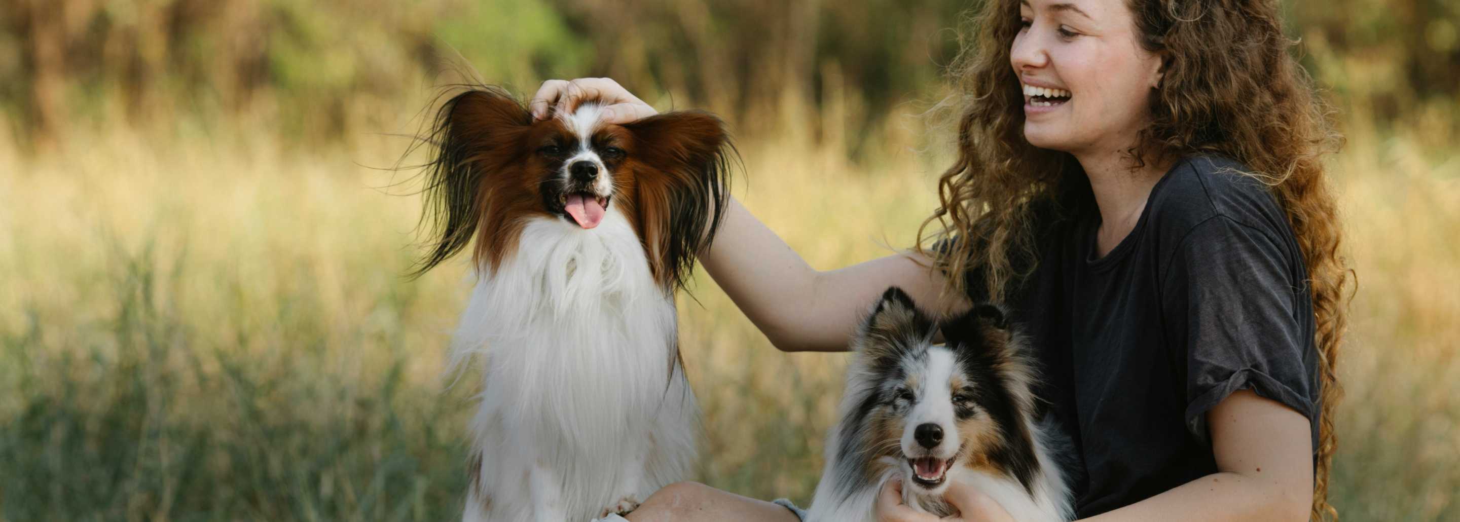 Protege a tu aristopet: La importancia del Seguro de Mascotas, ARISTOPET